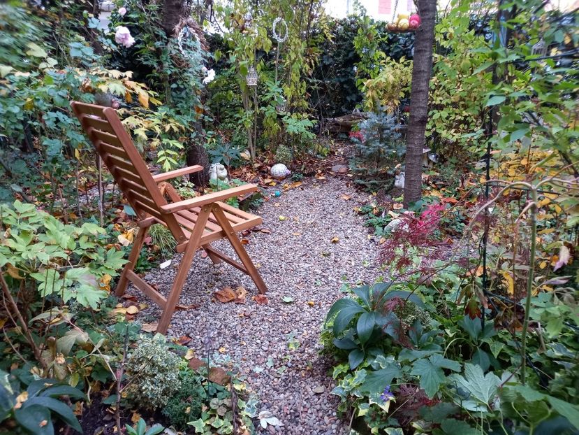  - Grădina 2022 continuare 4