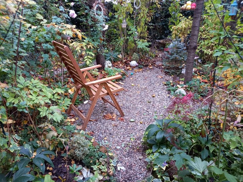  - Grădina 2022 continuare 4