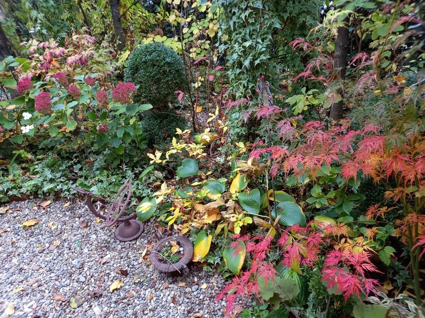  - Grădina 2022 continuare 4