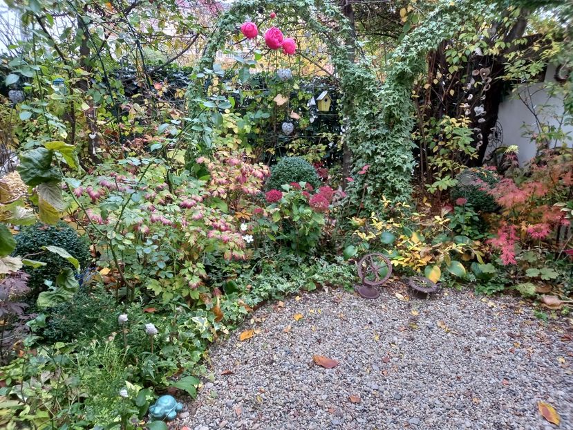  - Grădina 2022 continuare 4