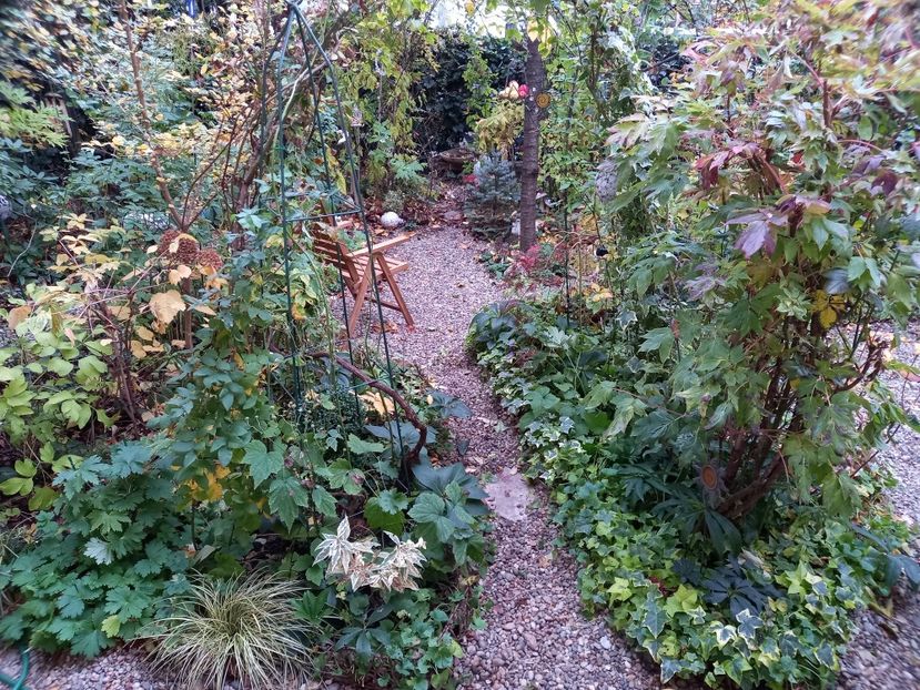  - Grădina 2022 continuare 4