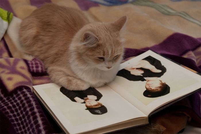 mn6HEC9NLvZDazofdStuOA - xX For Justin 2 Xx