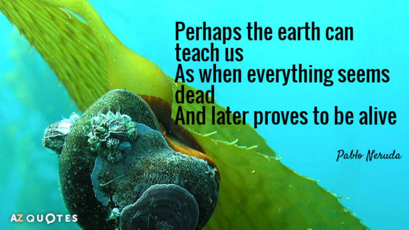 Quotation-Pablo-Neruda-Perhaps-the-earth-can-teach-us-As-when-everything-seems-71-7-0748 - citate frumoase