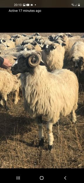 Screenshot_20221024-201054_One UI Home - Breze de Petrosani