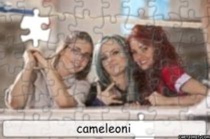 11474184_FQVDTJEOU - poze cu cameleoni editate de mine 2