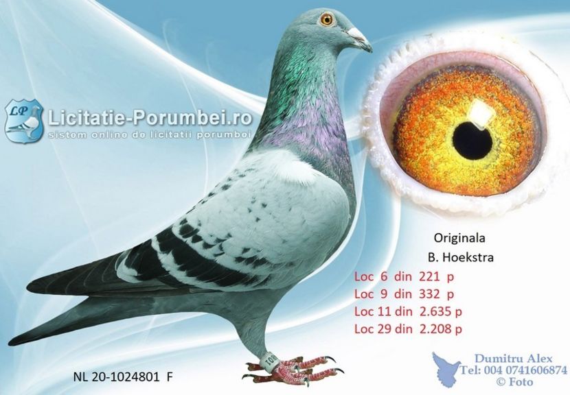  - Willy Cokelaere - Belg-2021