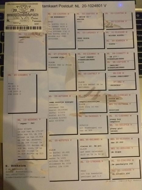 01ped - Willy Cokelaere - Belg-2021