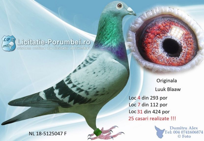  - Willy Cokelaere - Belg-2021