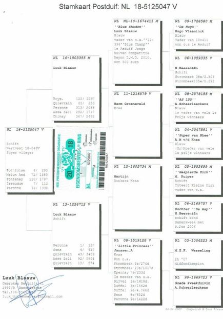 047ped - Willy Cokelaere - Belg-2021