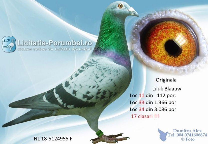  - Willy Cokelaere - Belg-2021