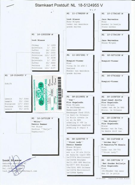 955ped - Willy Cokelaere - Belg-2021