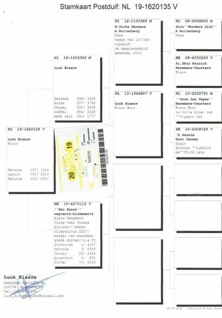 135ped - Achizitii porumbei -2021