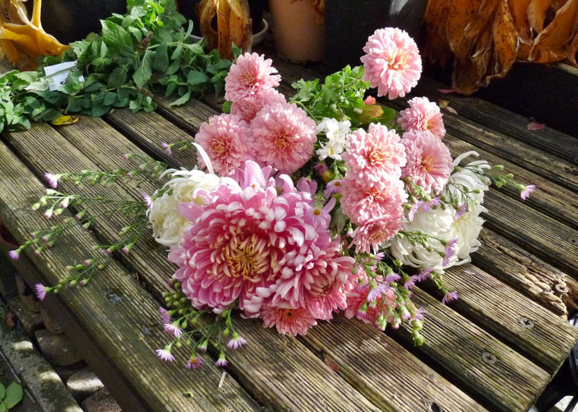 © - 01 - Floristica