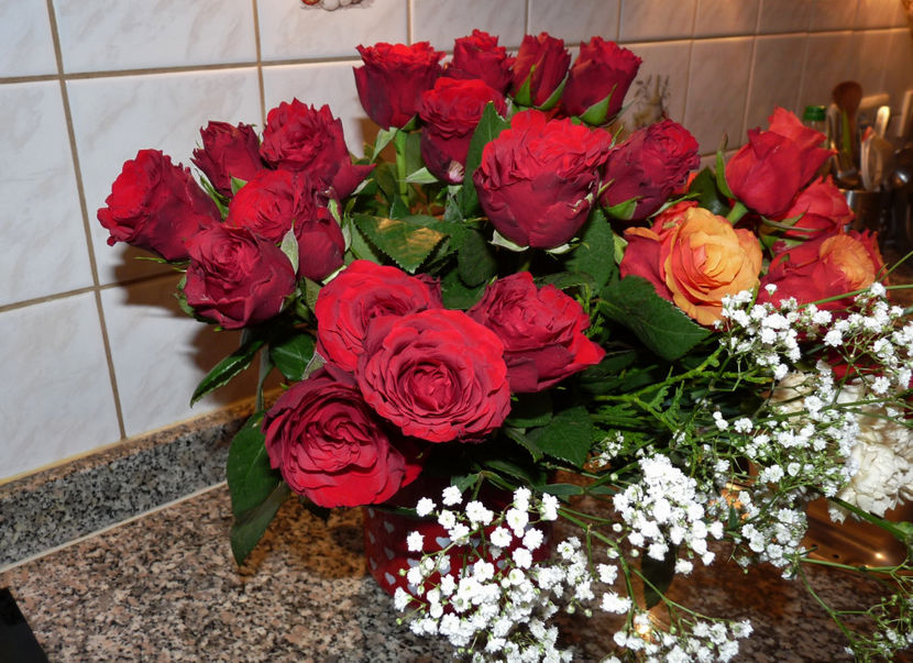 © - 01 - Floristica