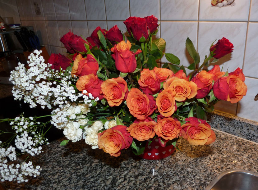 © - 01 - Floristica