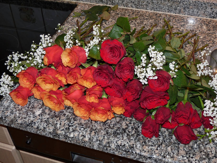 © - 01 - Floristica