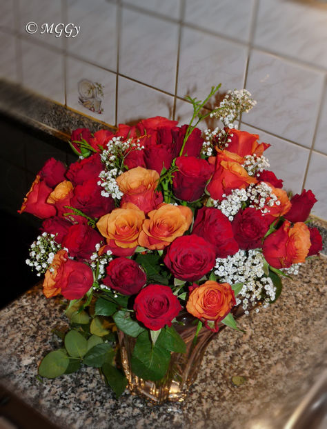 © - 01 - Floristica