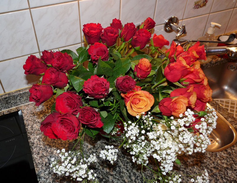 © - 01 - Floristica