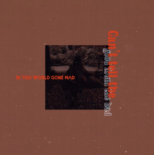  - my peaches out in Florence