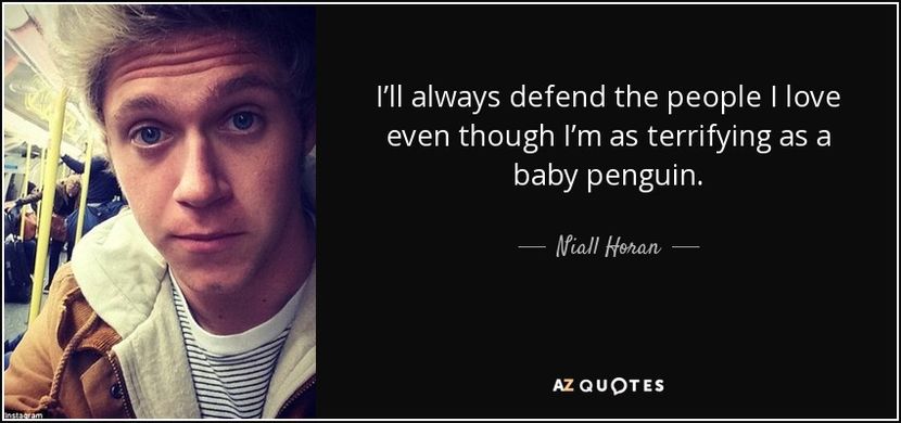 quote-i-ll-always-defend-the-people-i-love-even-though-i-m-as-terrifying-as-a-baby-penguin-niall-hor - citate faimoase
