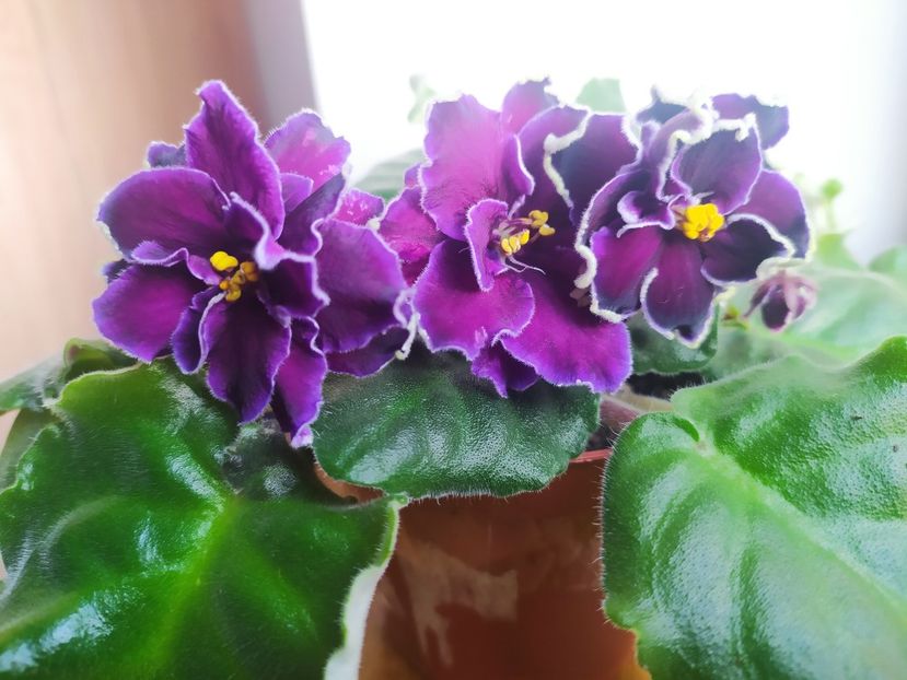 8 noiembrie 2022 - AV Chernilnoe Serdtse