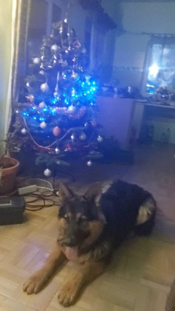 IMG-20211215-WA0009 - Nero