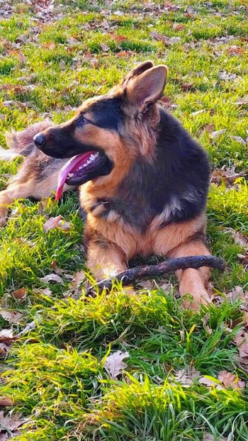 IMG-20211127-WA0007~3 - Nero