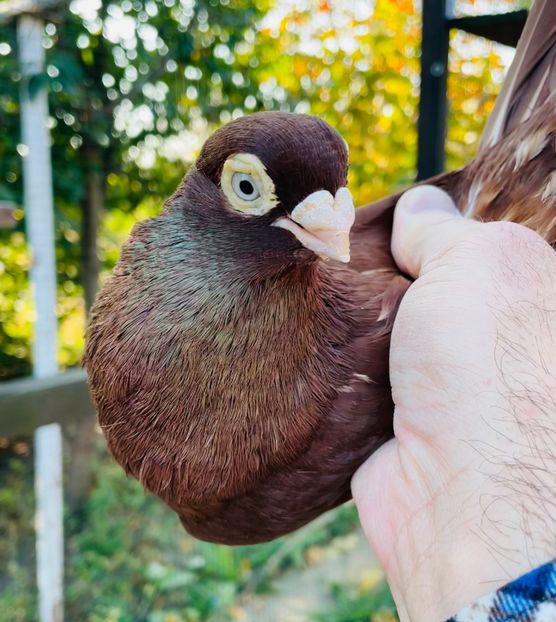 77F0D02D-0563-41A5-891A-8FB8B12C6C1E - Poze noi