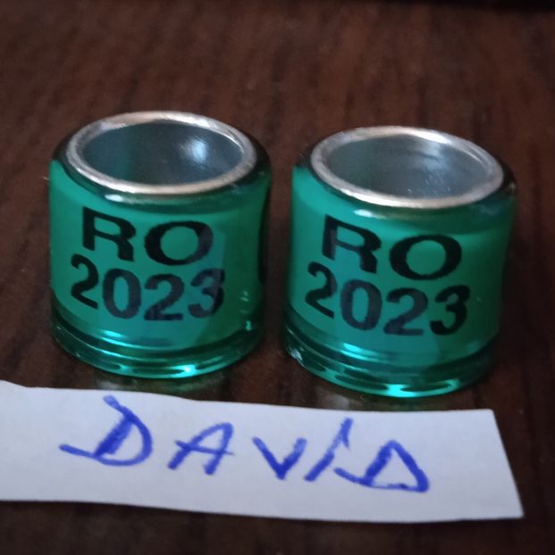 2023 - Verde - 8 mm....-1 leu - Inele 2014