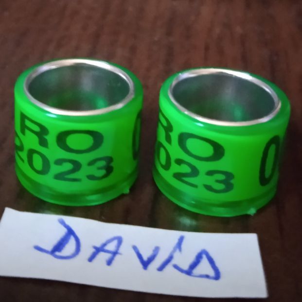 2023 - Verde Des.- 10 mm....-1 leu - Inele 2014