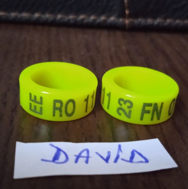 2023 - Ornament 11mm....-1,3 lei - Inele 2014