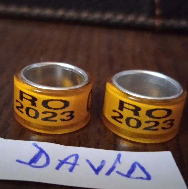 2023 - Galben - 11 mm....-1 leu - Inele 2014