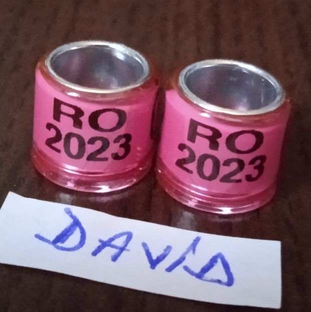 2023 - Roz - 8 mm....-1 leu - Inele 2014