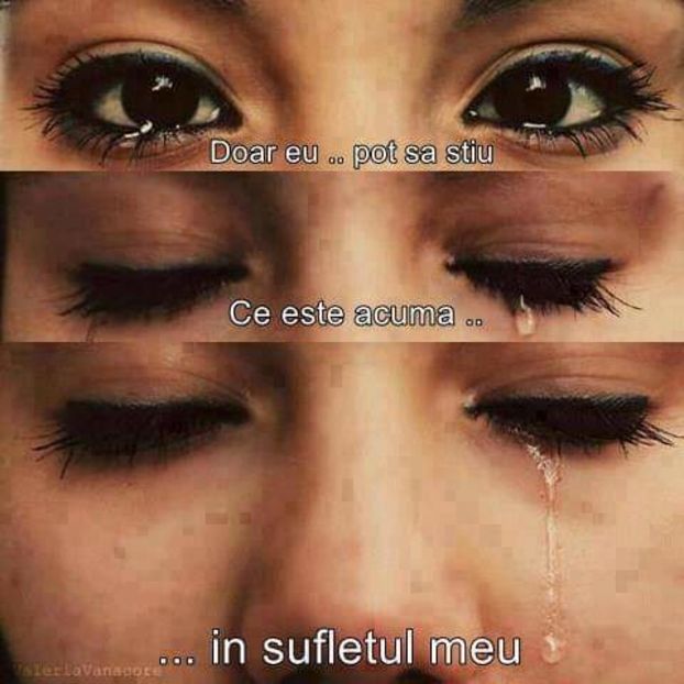  - quotes