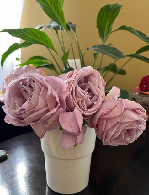 0473E977-CA4E-47C3-9925-03C20D6DB1BC - Aranjamente licheni și flori