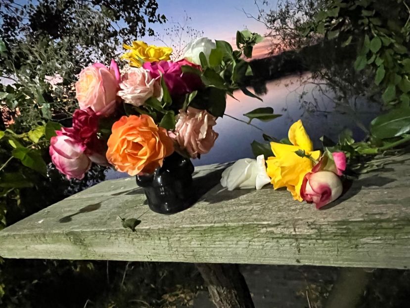 E0C7ACBD-9BF7-4FDB-84CB-2B7D7D29511C - Apus  de soare