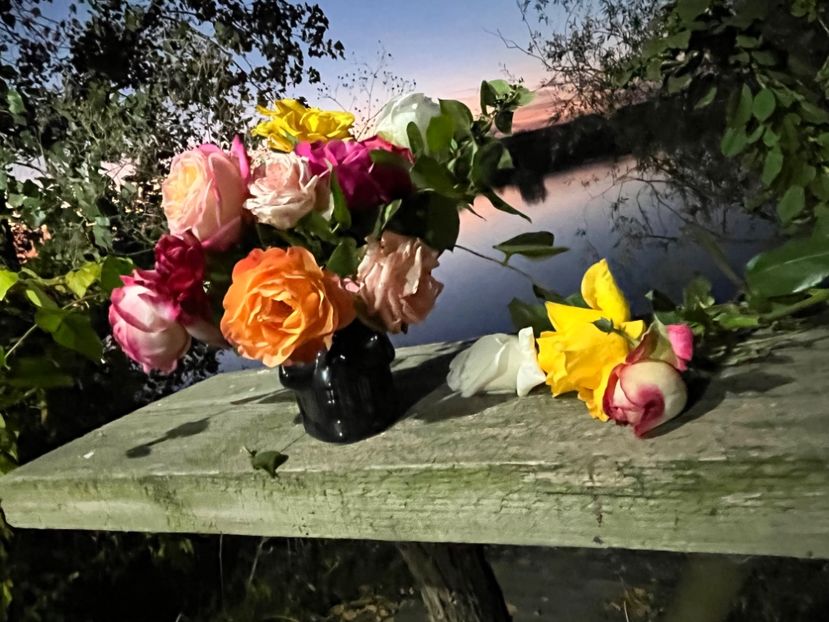 8E58AA2A-5A4C-4EBD-A4A1-CFC3DCDD177B - Apus  de soare