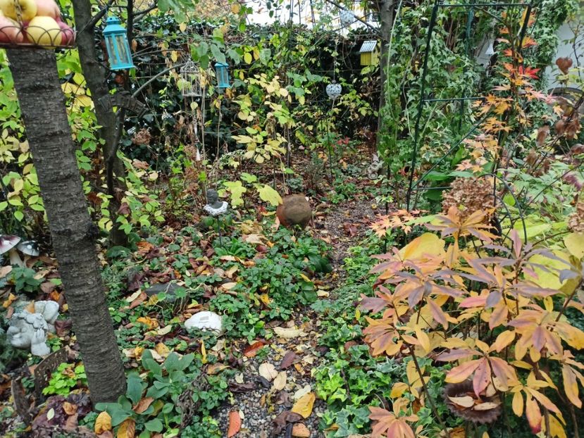  - Grădina 2022 continuare 4