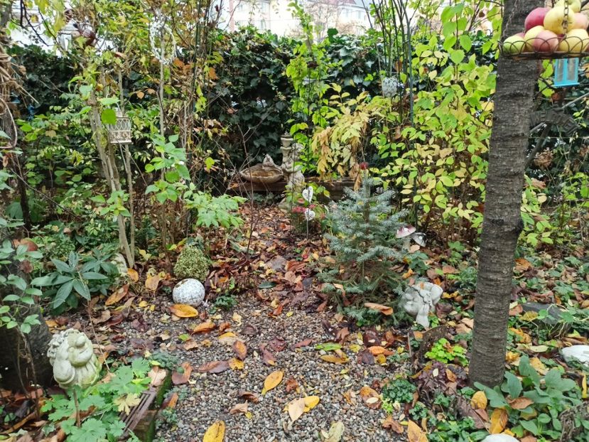  - Grădina 2022 continuare 4