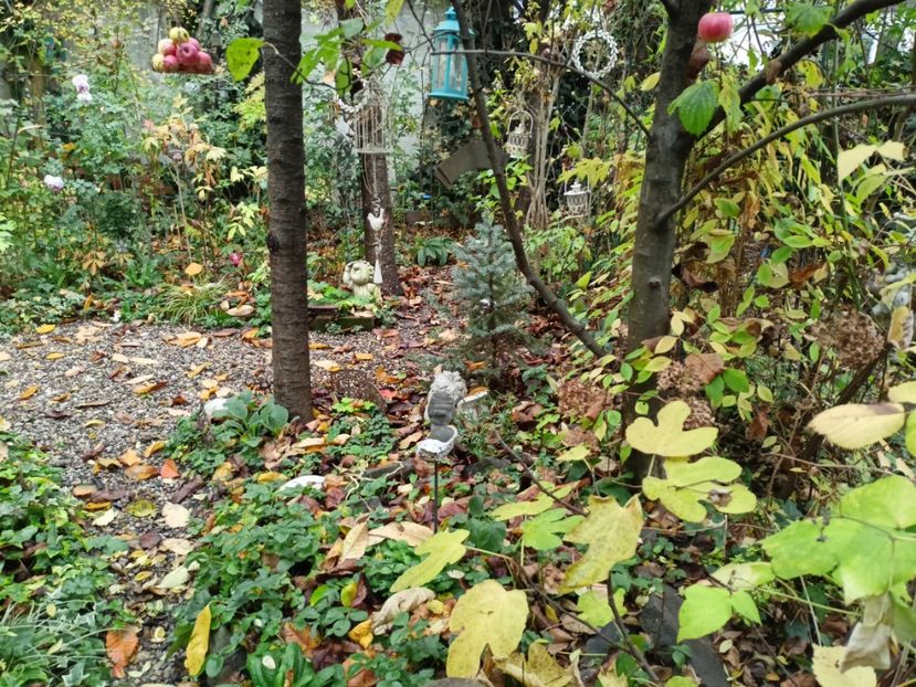  - Grădina 2022 continuare 4