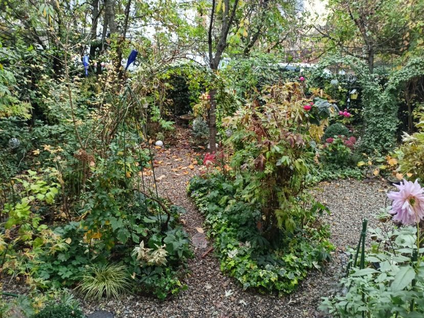  - Grădina 2022 continuare 4