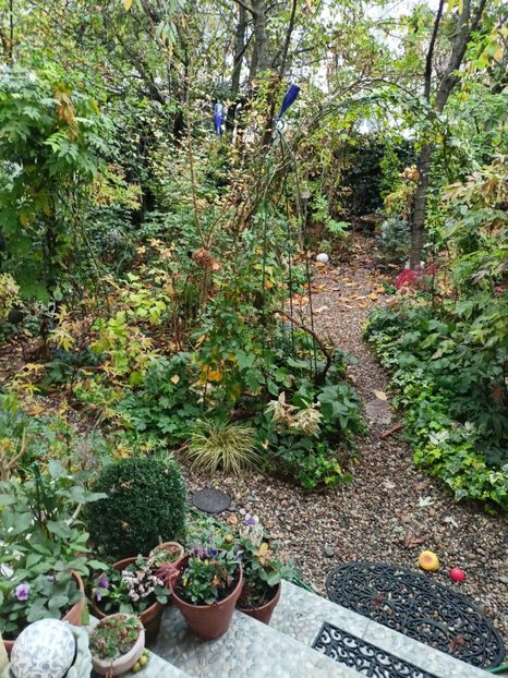  - Grădina 2022 continuare 4