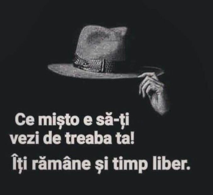 114291947_UVVQKUV3-1 - citate fanstastice