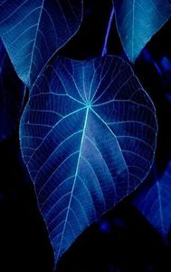 114280013_VJESMPX3-1 - prophets prophecy or with witch spell