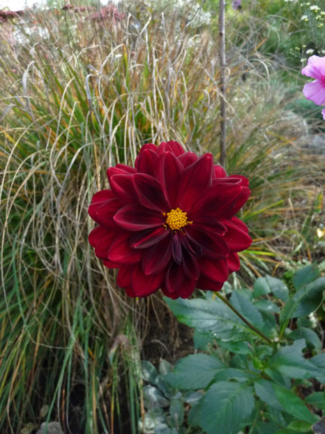  - 2022 - 03 - Toamna