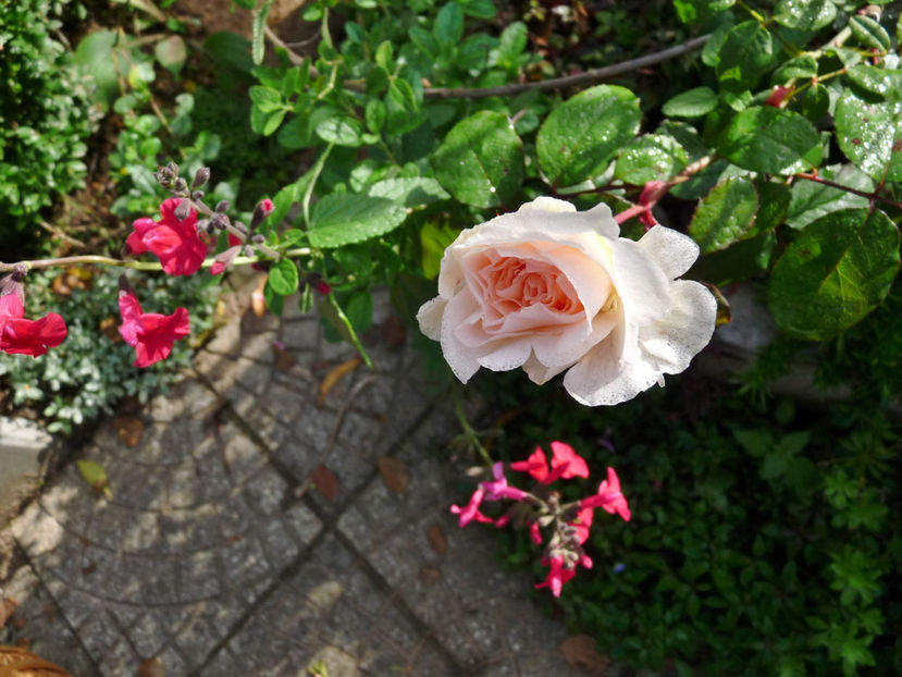  - 2022 - 03 - Toamna