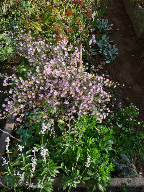  - 2022 - 03 - Toamna