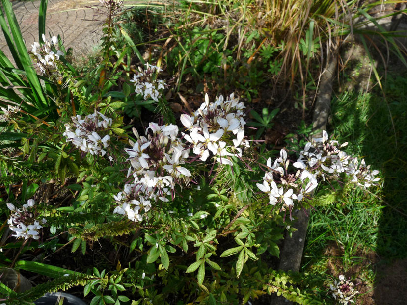  - 2022 - 03 - Toamna