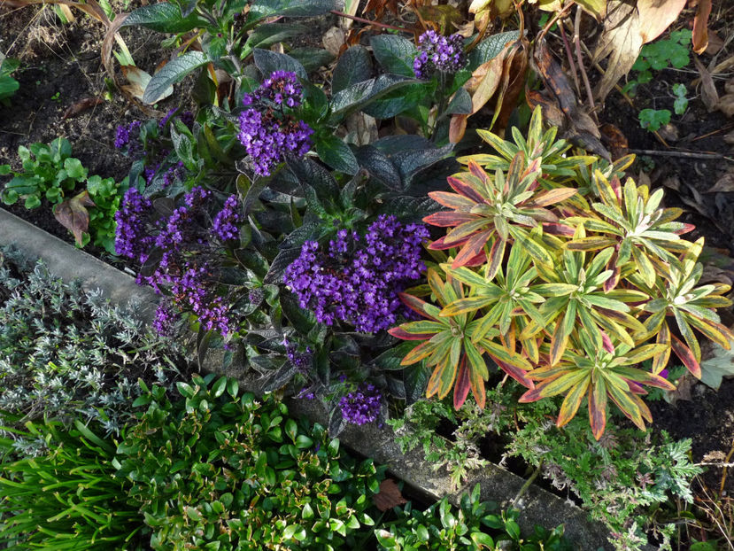  - 2022 - 03 - Toamna