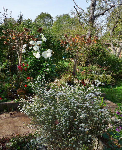  - 2022 - 03 - Toamna